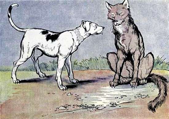 Волк и Собака, рисунок картинка сказка