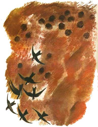 Гнезда ласточек-береговушек, рисунок картинка