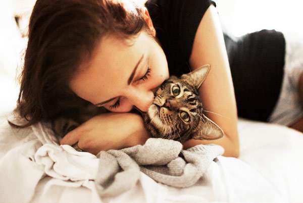 Женщина обнимает (целует) кошку, фото фотография питомцы