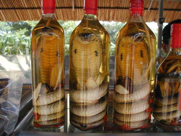 Китайские настойки со змеями, фото фотография 