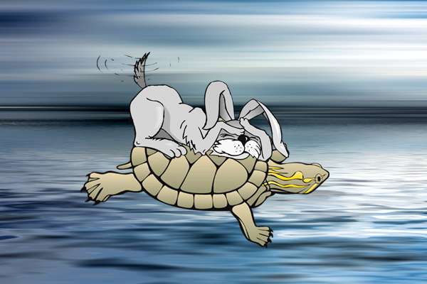Море, черепаха плывет, кролик сидит на черепахе, иллюстрация картинка рисунок