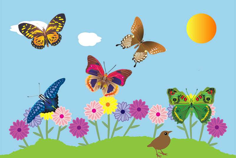 Бабочки, рисунок картинка сказки о животных 