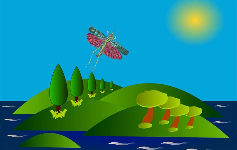 Кузнечик летит к волшебному острову, рисунок картинка сказки о животных