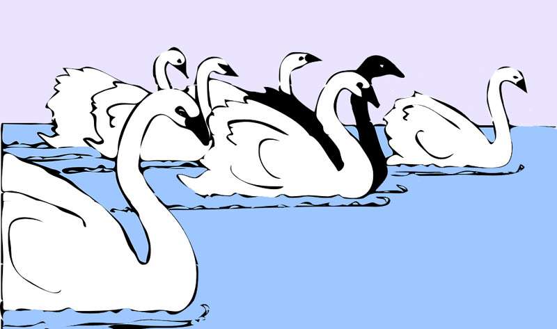 Лебеди на озере, рисунок картинка сказки для детей 