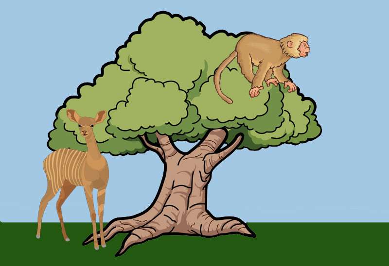 Лань у дерево, обезьяна сидит на дереве, рисунок картинка иллюстрация