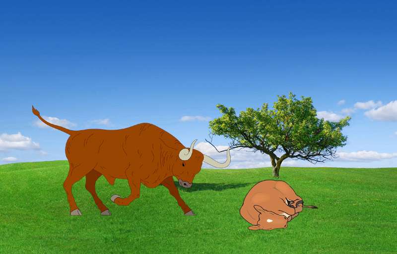 Разъяренный бык и теленок, иллюстрация картинка рисунок