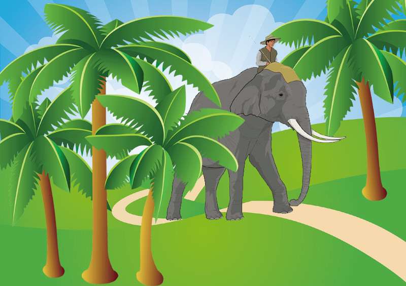 Человек на спине слона, рисунок картинка иллюстрация