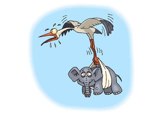 Аист несет слоненка, смешная картинка рисунок