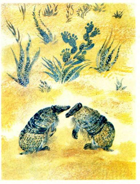 Мокрые еж и черепаха, рисунок иллюстрация к сказке