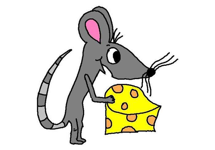 Мышка держит кусок сыра, рисунок иллюстрация