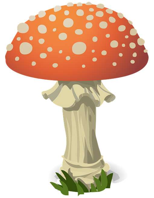 Улыбающийся гриб, рисунок картинка