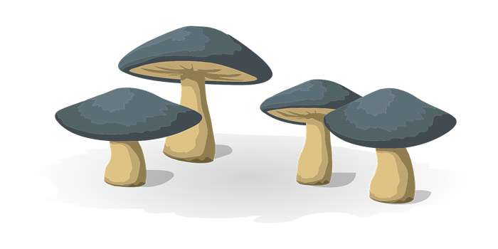 Синие грибы, рисунок картинка