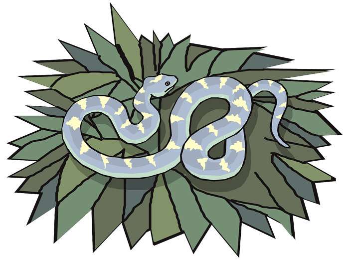 Змея в траве, рисунок иллюстрация