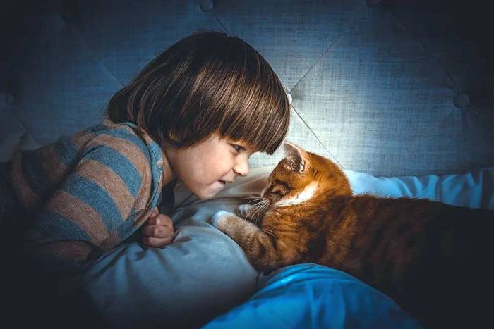 Мальчик и кот кошка, фото фотография 