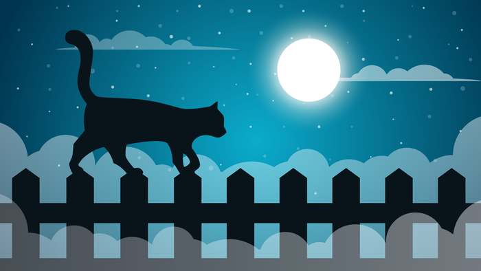 Кошка гуляет по забору, рисунок картинка иллюстрация