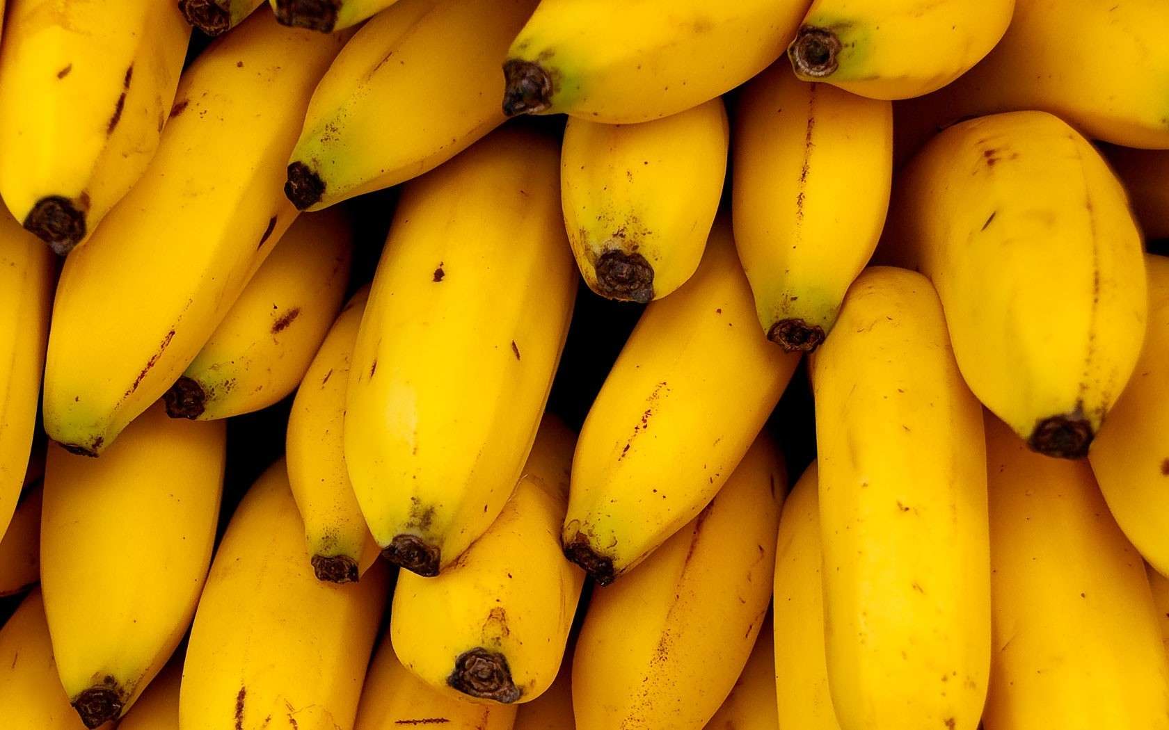 Банан до селекции фото