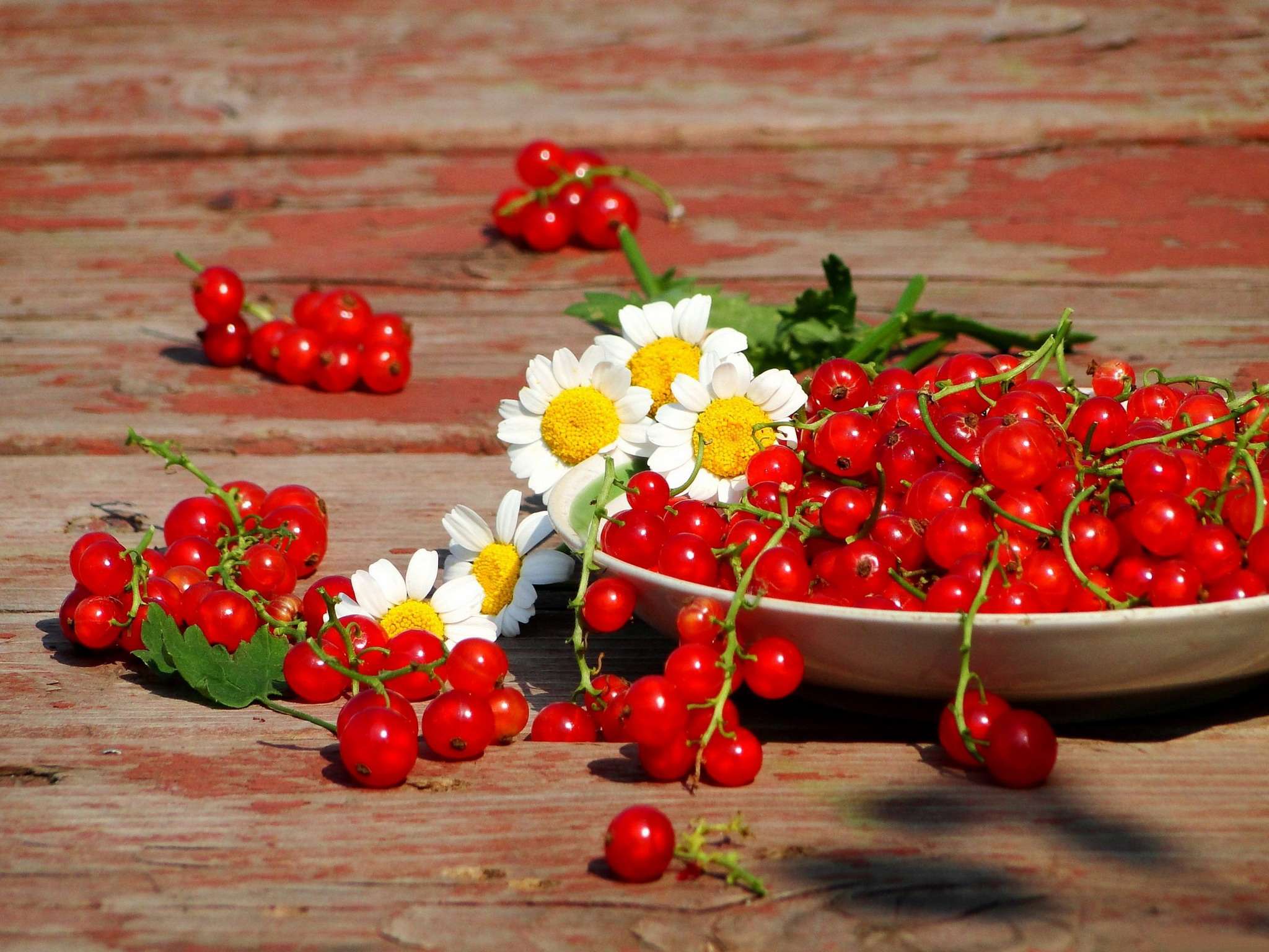 Цветок с красными ягодами