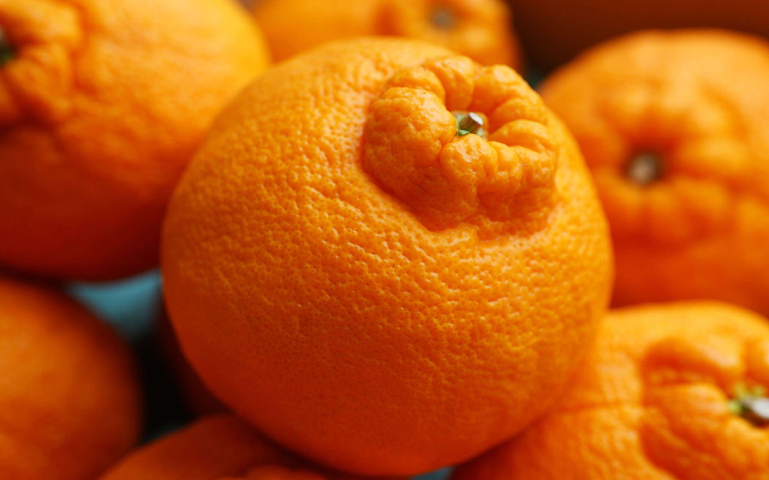 Апельсины пупочные сорта