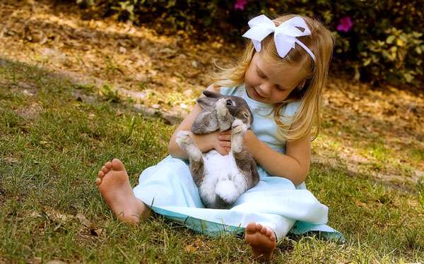 Девочка держит кролика на руках, фото кролики фотография