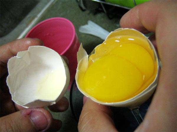 Двухжелтковое куриное яйцо, фото консультации по домашней птице фотография