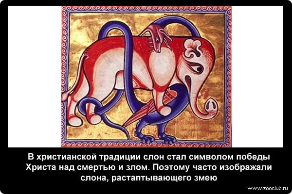  В христианской традиции слон стал символом победы Христа над смертью и злом. Поэтому часто изображали слона, растаптывающего змею