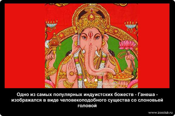  Одно из самых популярных индуистских божеств - Ганеша - изображался в виде человекоподобного существа со слоновьей головой