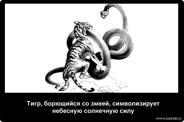  Тигр, борющийся со змеей, символизирует небесную солнечную силу