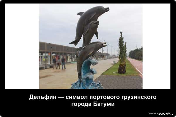  Дельфин - символ портового грузинского города Батуми