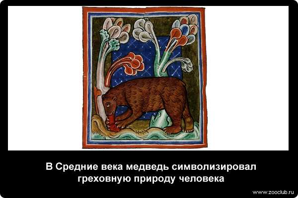  В Средние века медведь символизировал греховную природу человека