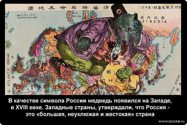  В качестве символа России медведь появился на Западе, в XVIII веке. Западные страны, утверждали, что Россия - это большая, неуклюжая и жестокая страна