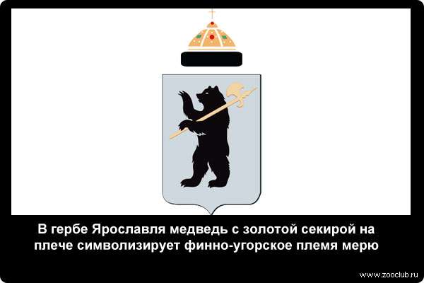  В гербе Ярославля медведь с золотой секирой на плече символизирует финно-угорское племя мерю