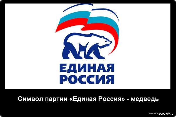  Символ партии Единая Россия - медведь