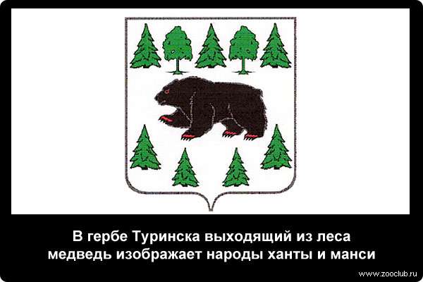  В гербе Туринска выходящий из леса медведь изображает народы ханты и манси