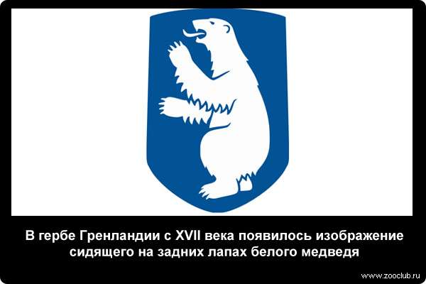  В гербе Гренландии с XVII века появилось изображение сидящего на задних лапах белого медведя