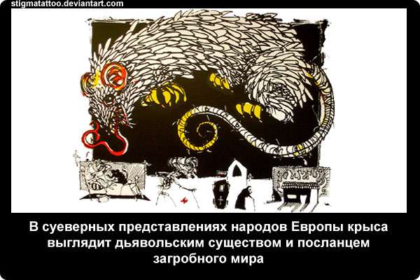 В суеверных представлениях народов Европы крыса выглядит дьявольским существом и посланцем загробного мира
