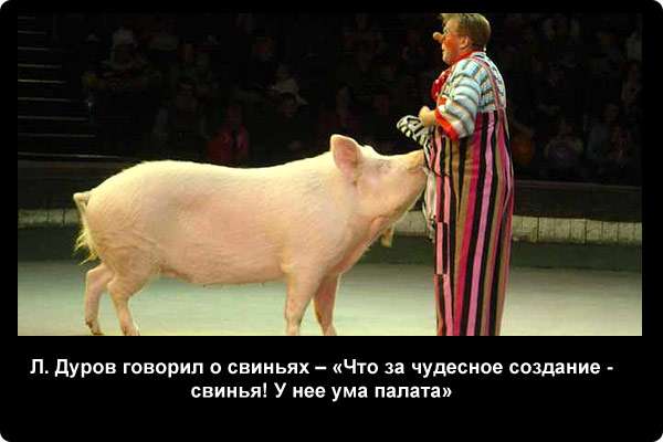  Л. Дуров говорил о свиньях - Что за чудесное создание - свинья! У нее ума палата