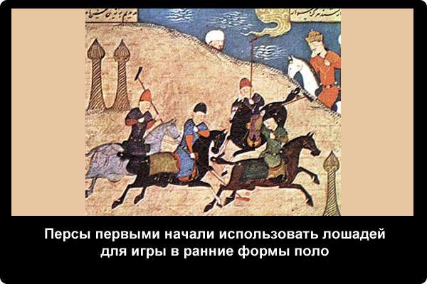  Персы первыми начали использовать лошадей для игры в ранние формы поло