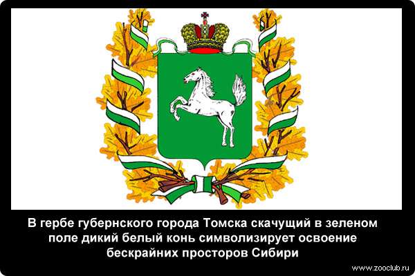  В гербе губернского города Томска скачущий в зеленом поле дикий белый конь символизирует освоение бескрайних просторов Сибири