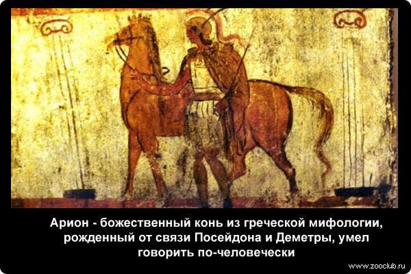  Арион, божественный конь из греческой мифологии, рожденный от связи Посейдона и Деметры, умел говорить по-человечески
