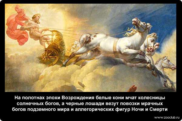  На полотнах эпохи Возрождения белые кони мчат колесницы солнечных богов, а черные лошади везут повозки мрачных богов подземного мира и аллегорических фигур Ночи и Смерти