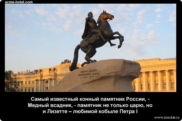  Самый известный конный памятник России, - Медный всадник, - памятник не только царю, но и Лизетте - любимой кобыле Петра I