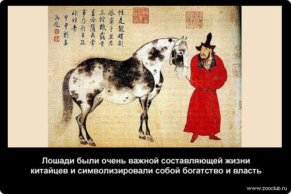  Лошади были очень важной составляющей жизни китайцев и символизировали собой богатство и власть