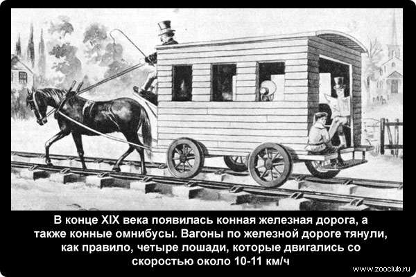  В конце XIX века появилась конная железная дорога, а также конные омнибусы. Вагоны по железной дороге тянули, как правило, четыре лошади, которые двигались со скоростью около 10-11 км/ч