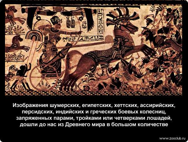  Изображения шумерских, египетских, хеттских, ассирийских, персидских, индийских и греческих боевых колесниц, запряженных парами, тройками или четверками лошадей, дошли до нас из Древнего мира в большом количестве
