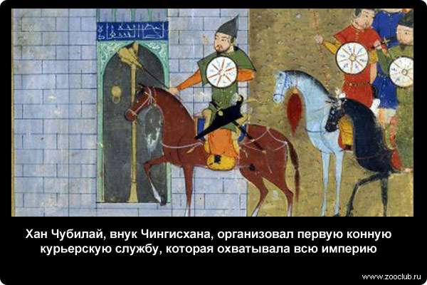  Хан Чубилай, внук Чингисхана, организовал первую конную курьерскую службу, которая охватывала всю империю