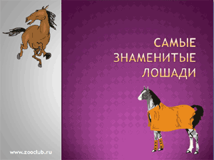 Бесплатно скачать презентацию для школы - Самые знаменитые лошади