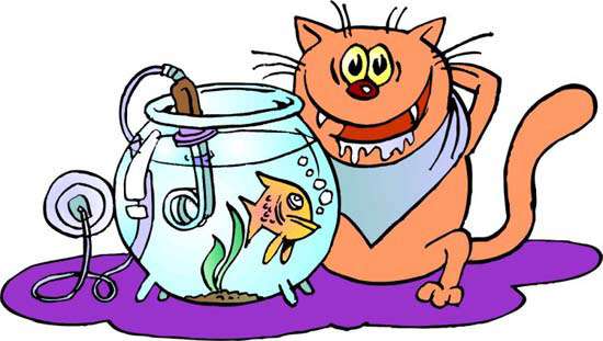 Кот кипятит аквариум с рыбкой, рисунок картинка смешной клипарт