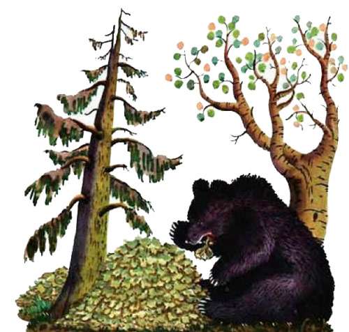 Медведь ест вершки репы, рисунок картинка