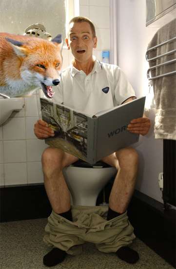 Бешенная лиса в туалете, фото смешная картинка фотография
