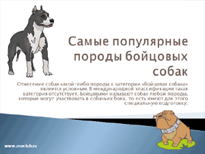 Бесплатно скачать презентацию для школы Самые популярные бойцовые породы собак
